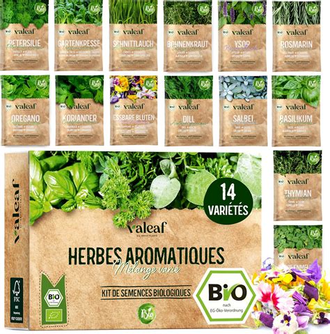 Assortiment d'herbes aromatiques