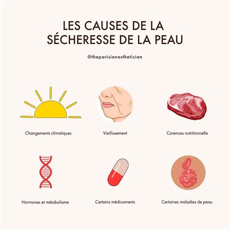 Illustration des différentes causes de sécheresse cutanée, incluant facteurs génétiques, maladies, environnement et style de vie.