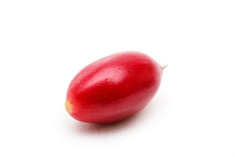 baie du miracle Synsepalum dulcificum sur fond noir