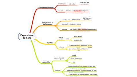 Carte mentale: textures et saveurs en équilibre dans l’entremet