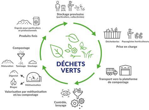 Schéma: chaîne de préparation des vermisseaux verts et des gelées