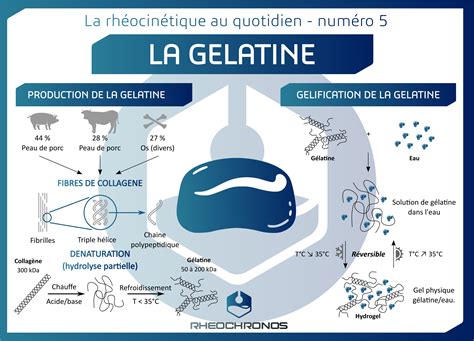 Schéma du processus d'incorporation de la gélatine dans la mousse