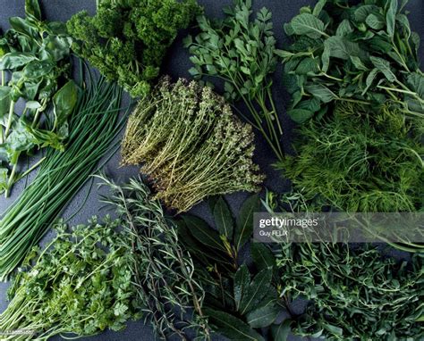 Assortiment d'herbes fraîches (aneth, ciboulette, coriandre) et de citrons.