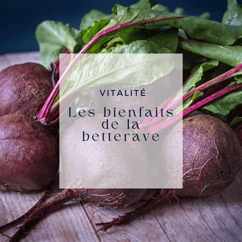 Infographie: bénéfices nutritionnels de la betterave et étapes de préparation