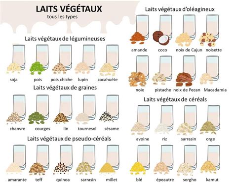Bol avec différents types de laits végétaux et noix