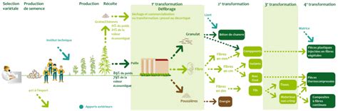 Schéma du processus de transformation du chanvre