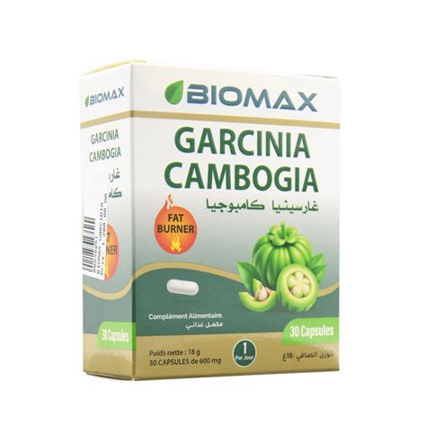 Dessin botanique du fruit du Garcinia Cambogia