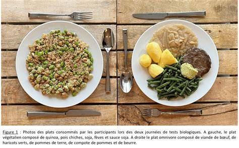Infographie: Comparaison des modes d'alimentation petits repas vs repas copieux
