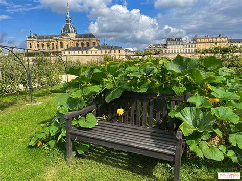 Photo historique des petits pois et du potager du roi, illustration des jardins de Versailles