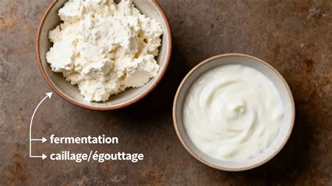 Infographie: comparaison faisselle vs fromage blanc et leurs étapes de fabrication