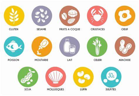 Carte des allergènes alimentaires majeurs et régions d’étiquetage