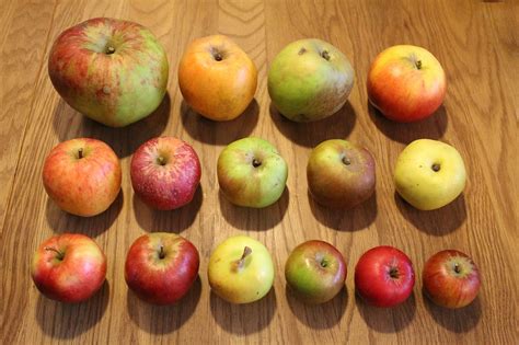 Variétés de pommes pour tarte