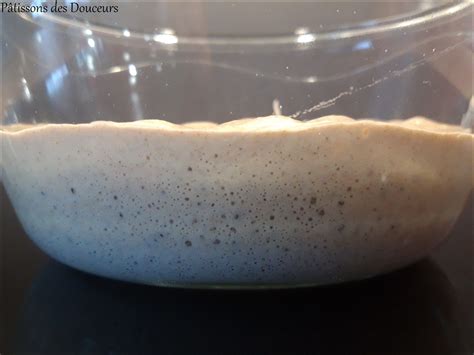 Schéma comparant la texture d'un levain liquide et d'un levain dur