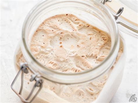 Graphique illustrant la croissance d'un levain actif après rafraîchi