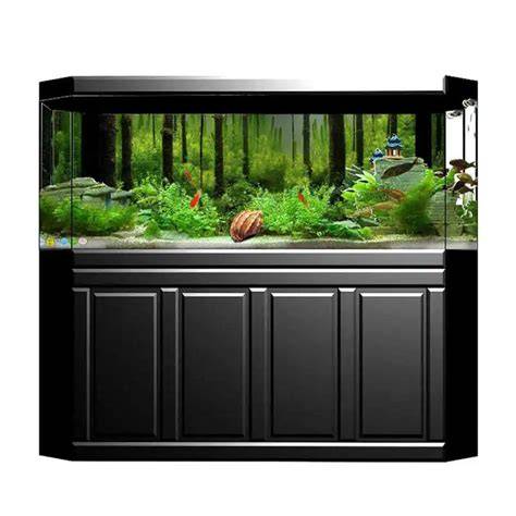 aquarium arrière peint en noir, effet profondeur