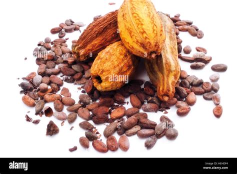 Cacao pods and beans