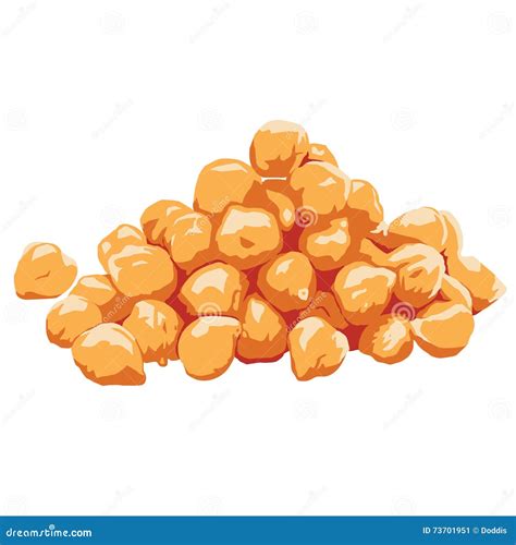 Illustration ancienne de pois chiches