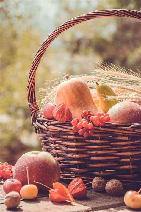 Légumes d'automne dans un panier