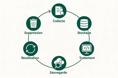 Schéma illustrant le cycle de culture et de traitement des gousses de vanille