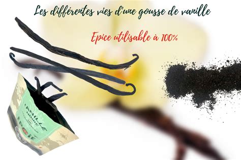 Gousse de vanille fendue et graines