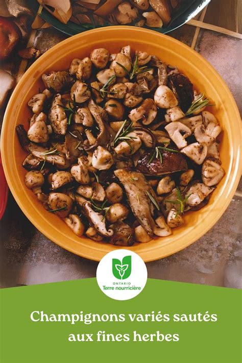 Assortiment de champignons variés