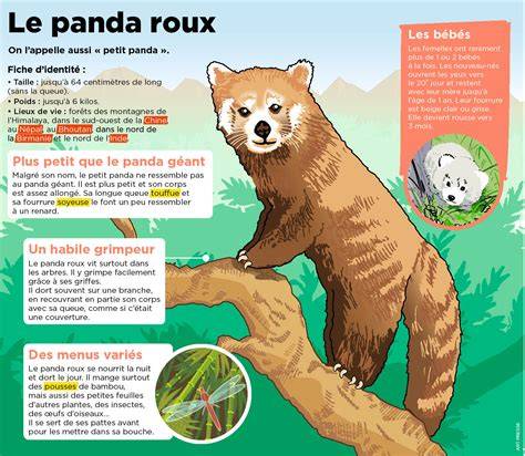 Illustration: schéma du roux et de l’épaississement