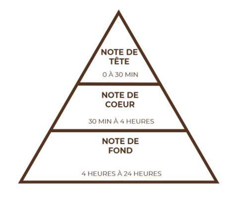 Schéma infographique des notes: Tête (épices, oud) - Cœur (fleurs) - Fond (vanille, santal)