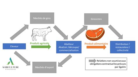 Schéma illustrant la chaîne de valeur de la viande bovine, avec le marchand de bestiaux comme intermédiaire