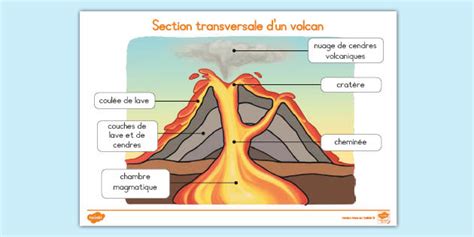 Schéma montrant la structure interne d'un bonbon, avec une coque extérieure et un cœur liquide.