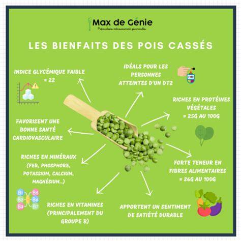 Infographie sur les bienfaits nutritionnels des pois cassés et leur compatibilité avec un régime végétarien