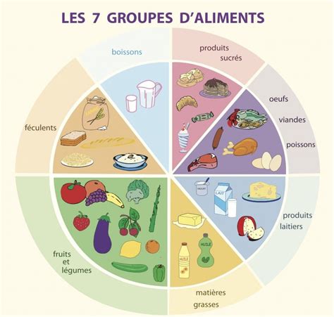 Schéma des groupes d'aliments à introduire pour bébé