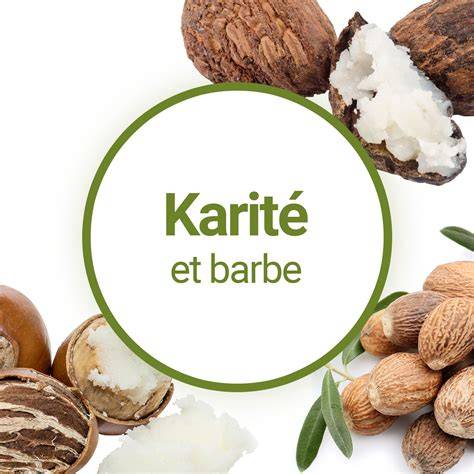 Infographie: Composition et usages du beurre de karité et de l'huile d’avocat pour la peau et les cheveux