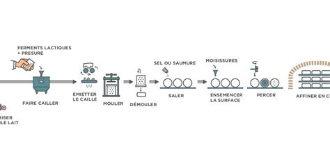 Schéma de la chaîne de fabrication du fromage blanc et de la faisselle