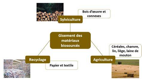 Infographie: Schéma des matériaux et des cuirs utilisés dans les Georgettes