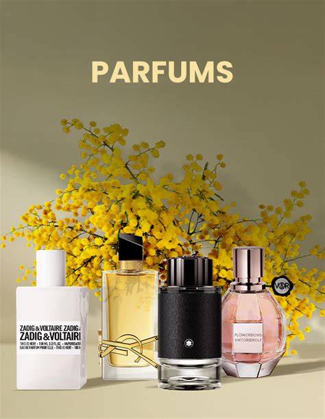 Infographie: Origines, ingrédients et parfums des patiences Nancy et Normandie