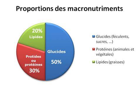 Infographie: Apport calorique par ingrédient et répartition macronutriments