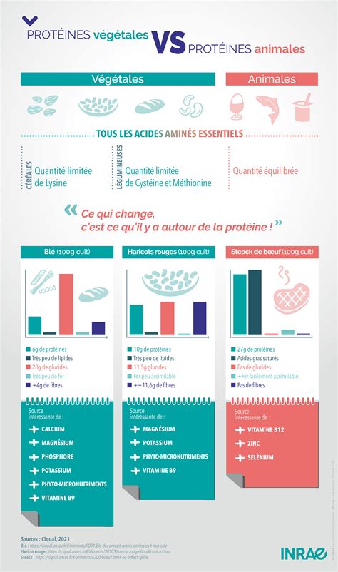 Tableau nutritionnel comparatif : Protéines végétales vs animales