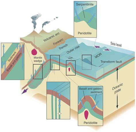 Extraction schématique des zones chauffantes du four