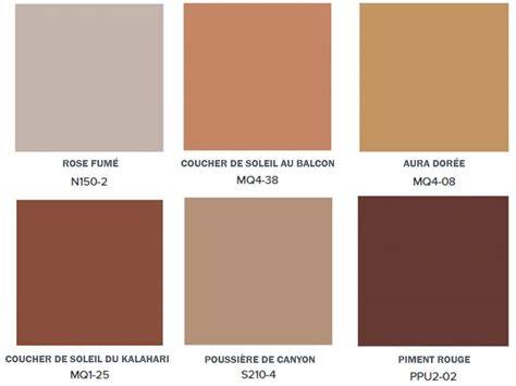 Palette de couleurs chaude pour gaufre sucre vectoriel