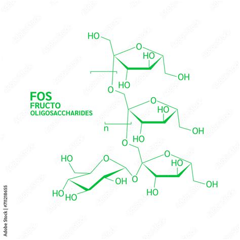 Structure moléculaire des fructo-oligosaccharides