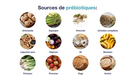 Représentation visuelle des aliments riches en prébiotiques