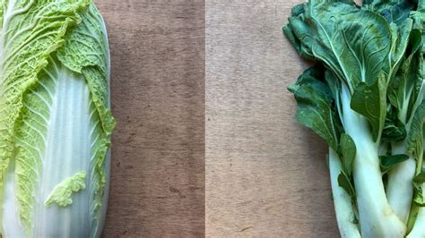 Comparaison visuelle du Pak-Choï et du Pé-Tsai