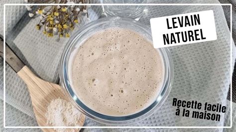 Schéma d'un levain naturel en cours de développement