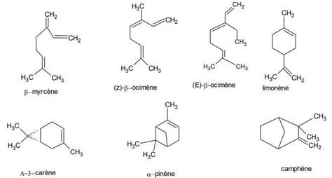 Composition chimique d'une huile essentielle