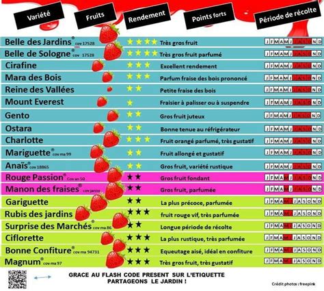 Graphique comparatif des rendements de différentes variétés de petits pois