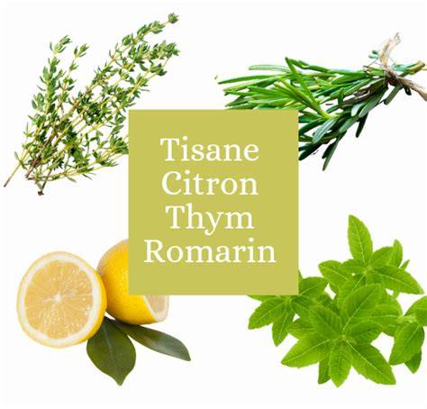 compote romarin thym citron infographie