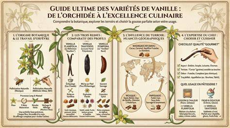 Portrait des différentes origines de vanille et leurs profils aromatiques