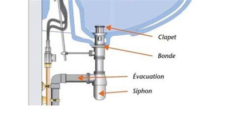 Schéma du siphon et de l’assemblage mousse épicée