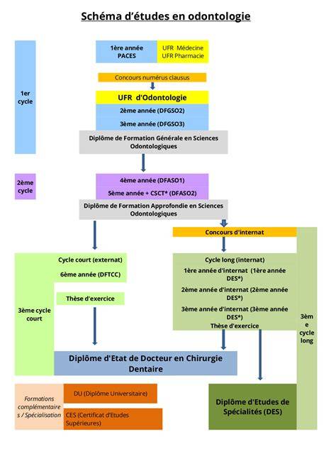 Infographie: Parcours de formation d'un chirurgien-dentiste en France