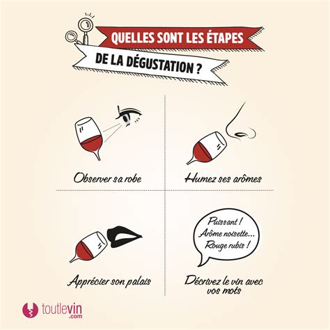 Schéma des étapes de dégustation et suggestion d’accords chocolat-pâtisserie